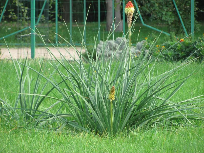 Сергей Царёв фотография #47