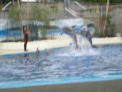 Надя Кіданецька фотография #6 (источник - https://vk.com/id103553217)