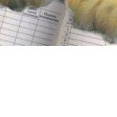 Іван Ткачук фотография #23 (источник - https://vk.com/id133177131)