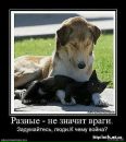 Іринка Лавренко фотография #19 (источник - https://vk.com/id23702185)