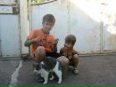 Олексій Соловйов фотография #17 (источник - https://vk.com/id49214064)