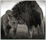 Юрій Кіраль фотография #6 (источник - https://vk.com/id22913482)