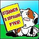 Сергій Громик фотография #35 (источник - https://vk.com/id76801216)