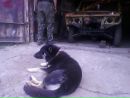 Андрій Петровський фотография #17 (источник - https://vk.com/id29298187)