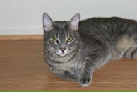 Фотография Васильевой Маши