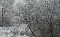 Фотография Искандаровой Анны