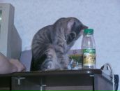 Вера Петровец фотография #32 (источник - https://vk.com/id36439799)