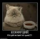 Вікуся Турчак фотография #21 (источник - https://vk.com/id163278613)