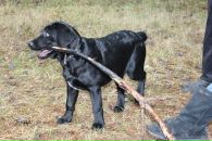 Артём Васильев фотография #37 (источник - https://vk.com/id657491)