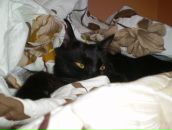 Фотография Туриловой Антонины