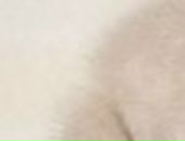 Аліночка Фаленчук фотография #8 (источник - https://vk.com/id113185448)