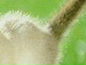 Лера Лоц фотография #40 (источник - https://vk.com/id57504657)