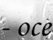 Віталій Сіднейчук фотография #10 (источник - https://vk.com/id131765570)