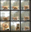 Макс Максов фотография #43 (источник - https://vk.com/id5002945)