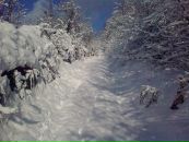 Іван Коваль фотография #15 (источник - https://vk.com/id50934328)