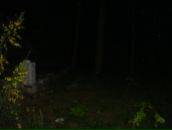 Фотография Рошенца Максима