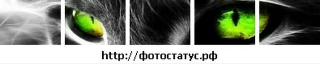 Лілія Ілларіонова фотография #34 (источник - https://vk.com/id31729397)