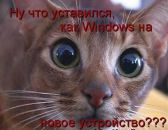 Фотография Лыскович Алены