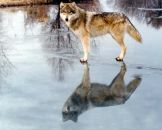 Фотография Анатольевич Павлова Олега