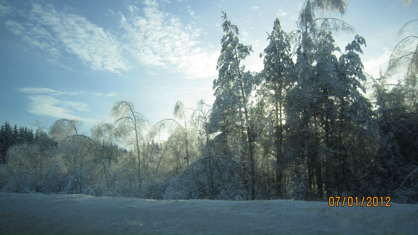 Дмитрий Грачёв фотография #31