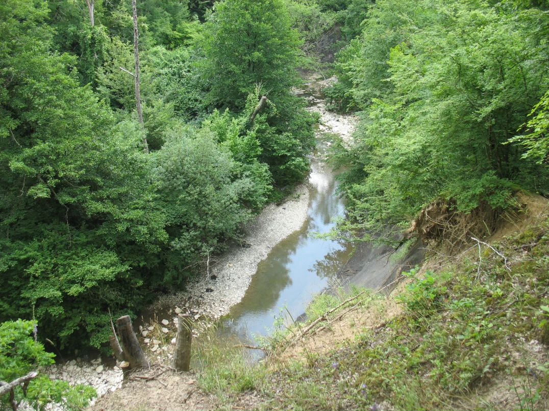 Сергей Табачников фотография #44