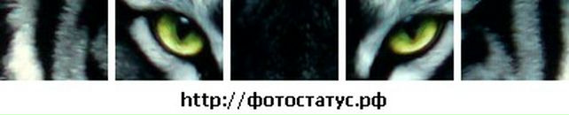 Ростислав Андрійович фотография #16 (источник - https://vk.com/id30328813)