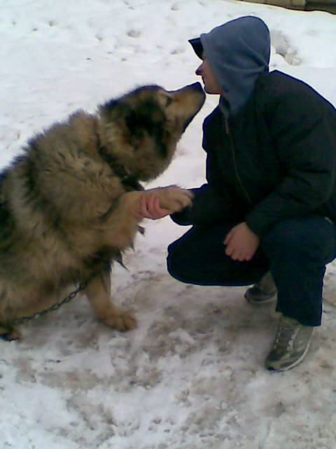 Михаил Софронов фотография #15