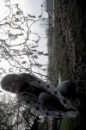 Аліночка Smile фотография #5 (источник - https://vk.com/id28786935)