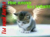 Андрій Ковалець фотография #25 (источник - https://vk.com/id72268205)