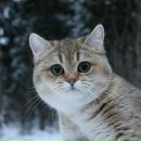 Фотография Романовой Дашуты