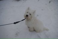 Фотография Натальи Натальи