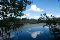 Павел Волк фотография #14 (источник - https://vk.com/id470503)