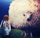 Фотография Че Юли