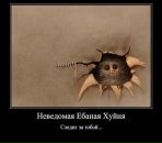 Дмитрий Бирюков фотография #10 (источник - https://vk.com/id67059265)