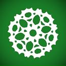 Сніжанка Кобилюх фотография #48 (источник - https://vk.com/id144980257)