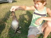 Ігор Шпаковатий фотография #30 (источник - https://vk.com/id135133424)