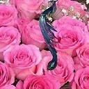 Софія Мартинець фотография #2 (источник - https://vk.com/id131659765)