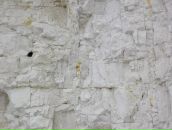 Алан Айверсон фотография #17 (источник - https://vk.com/id2580733)