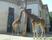 Анастасія Головська фотография #50 (источник - https://vk.com/id6246545)