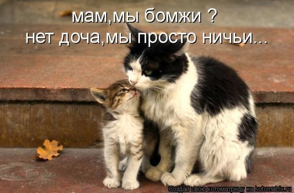№9, Светик Семицветик №9, Светик Семицветик