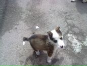 Вадім Лемець фотография #49 (источник - https://vk.com/id59438635)