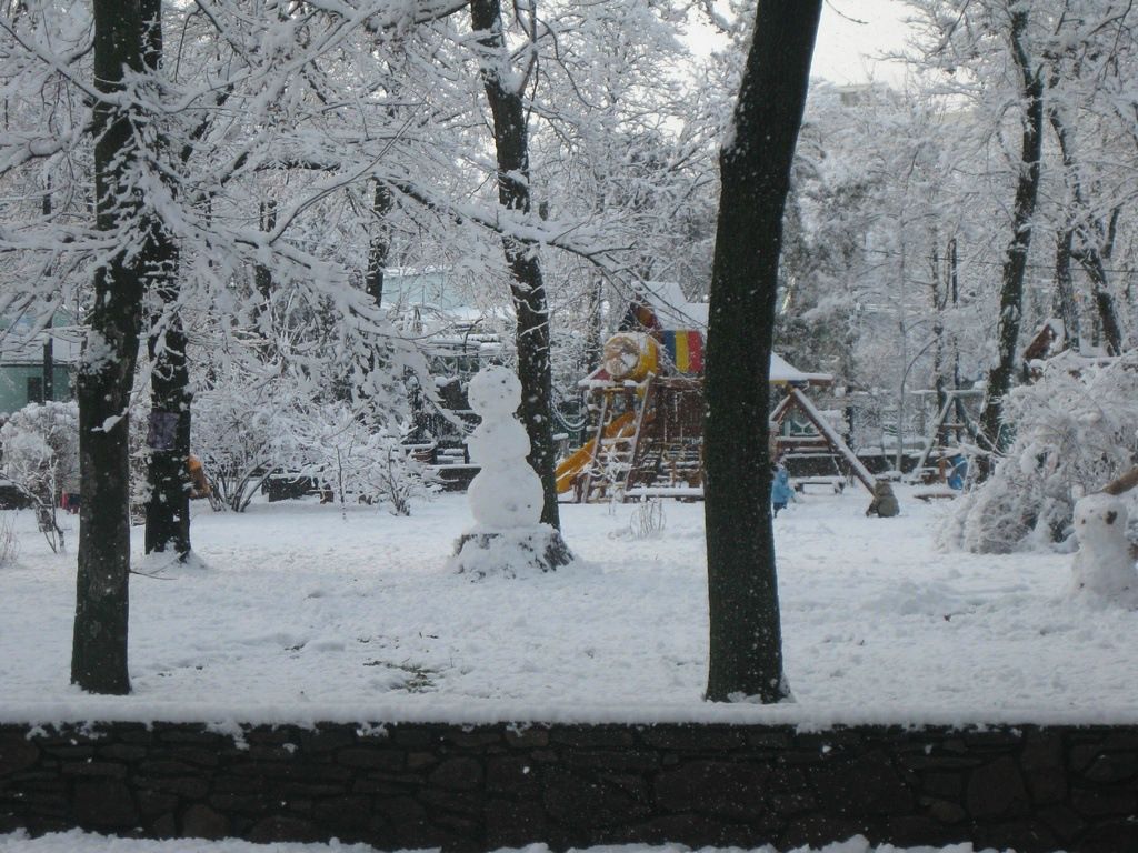 Илья Ерошенко фотография #11