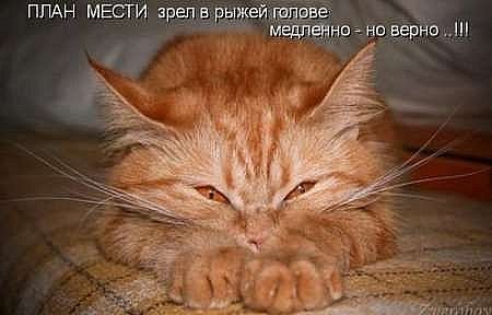 №7, Андрей Старицын, Петрозаводск №7, Андрей Старицын, Петрозаводск