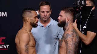 UFC Вегас 27: Битвы взглядов