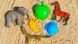 Машинки и Животные в песочнице - Развивающие видео для детей